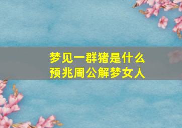 梦见一群猪是什么预兆周公解梦女人