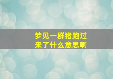 梦见一群猪跑过来了什么意思啊