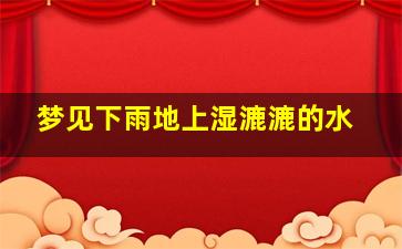 梦见下雨地上湿漉漉的水