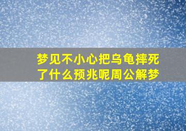 梦见不小心把乌龟摔死了什么预兆呢周公解梦