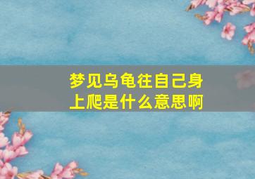 梦见乌龟往自己身上爬是什么意思啊