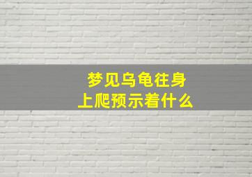 梦见乌龟往身上爬预示着什么