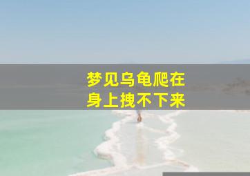 梦见乌龟爬在身上拽不下来