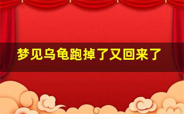 梦见乌龟跑掉了又回来了