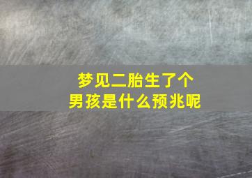 梦见二胎生了个男孩是什么预兆呢