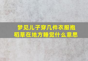 梦见儿子穿几件衣服抱稻草在地方睡觉什么意思