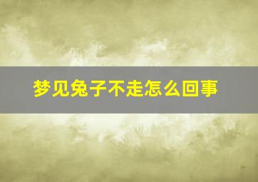 梦见兔子不走怎么回事