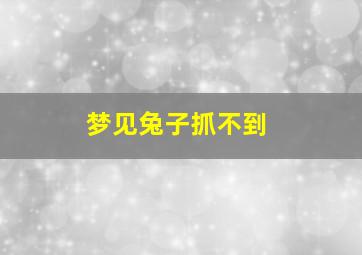 梦见兔子抓不到