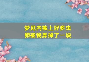 梦见内裤上好多虫卵被我弄掉了一块