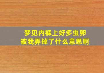 梦见内裤上好多虫卵被我弄掉了什么意思啊