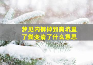 梦见内裤掉到粪坑里了粪变清了什么意思