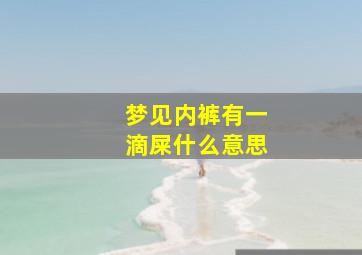 梦见内裤有一滴屎什么意思