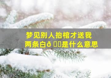 梦见别人抬棺才送我两条白𠗕是什么意思