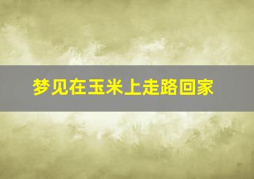 梦见在玉米上走路回家