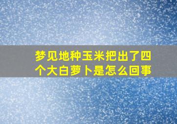 梦见地种玉米把出了四个大白萝卜是怎么回事