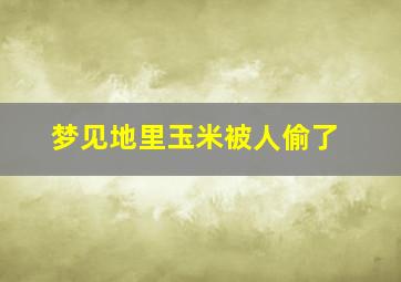 梦见地里玉米被人偷了