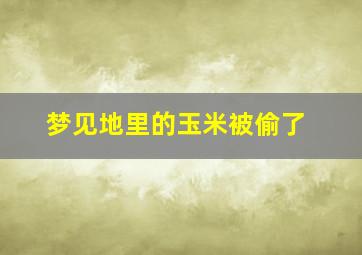 梦见地里的玉米被偷了