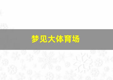 梦见大体育场