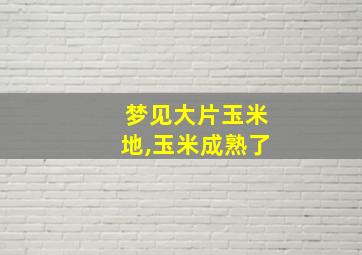 梦见大片玉米地,玉米成熟了