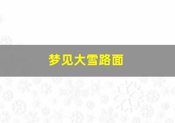 梦见大雪路面