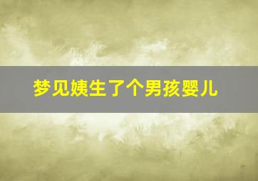 梦见姨生了个男孩婴儿