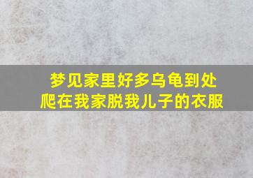 梦见家里好多乌龟到处爬在我家脱我儿子的衣服