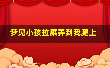 梦见小孩拉屎弄到我腿上