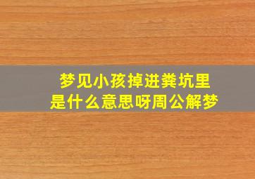 梦见小孩掉进粪坑里是什么意思呀周公解梦