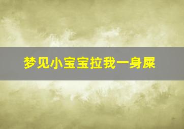 梦见小宝宝拉我一身屎