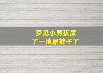 梦见小男孩尿了一地尿裤子了