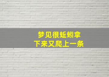 梦见很蚯蚓拿下来又爬上一条