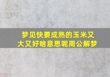 梦见快要成熟的玉米又大又好啥意思呢周公解梦