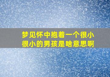 梦见怀中抱着一个很小很小的男孩是啥意思啊