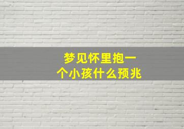 梦见怀里抱一个小孩什么预兆