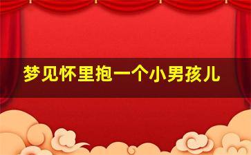 梦见怀里抱一个小男孩儿