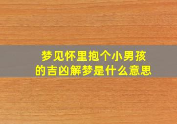 梦见怀里抱个小男孩的吉凶解梦是什么意思