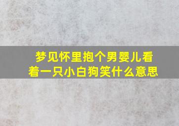 梦见怀里抱个男婴儿看着一只小白狗笑什么意思