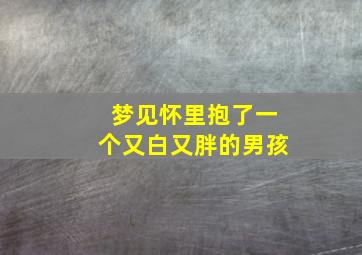 梦见怀里抱了一个又白又胖的男孩