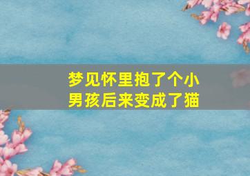 梦见怀里抱了个小男孩后来变成了猫