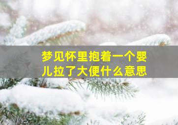 梦见怀里抱着一个婴儿拉了大便什么意思