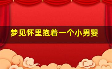 梦见怀里抱着一个小男婴