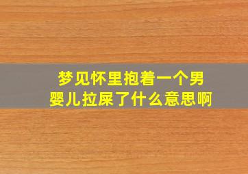 梦见怀里抱着一个男婴儿拉屎了什么意思啊