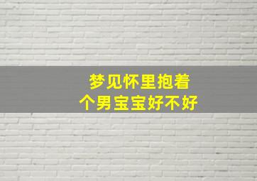 梦见怀里抱着个男宝宝好不好