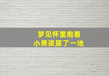 梦见怀里抱着小男孩尿了一地