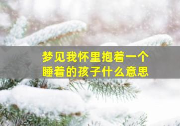 梦见我怀里抱着一个睡着的孩子什么意思