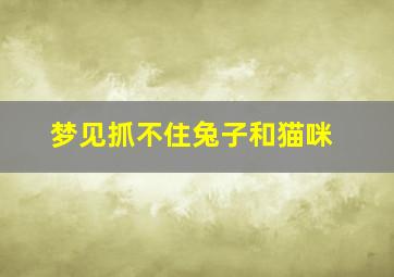 梦见抓不住兔子和猫咪