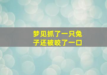 梦见抓了一只兔子还被咬了一口