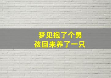 梦见抱了个男孩回来养了一只