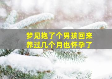 梦见抱了个男孩回来养过几个月也怀孕了