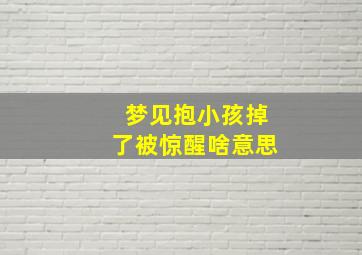 梦见抱小孩掉了被惊醒啥意思